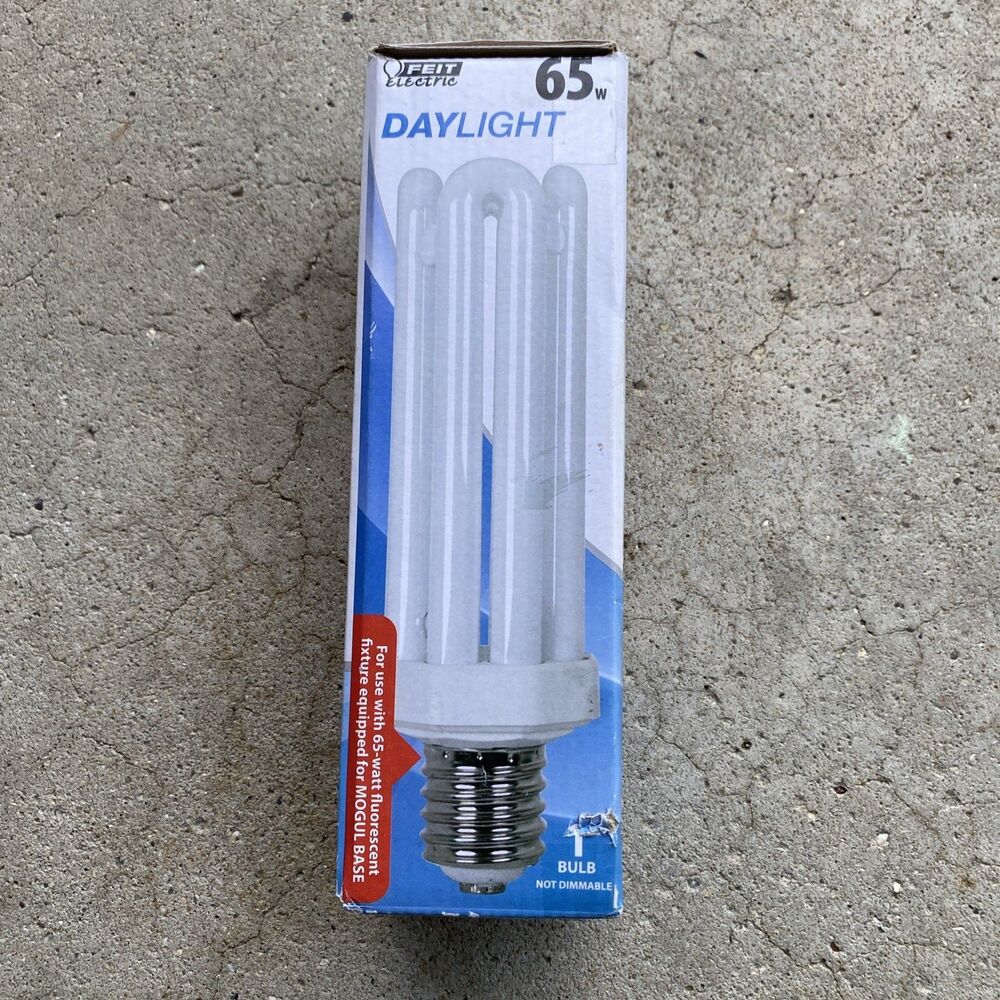 Feit 65 W PL 3.12 in. L CFL Bulb Daylight Utility 6500 K